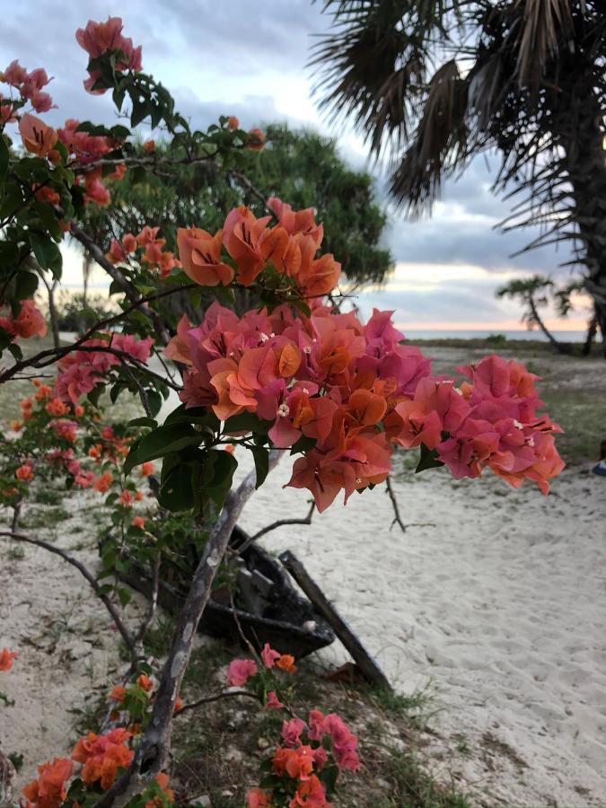 Emayani Beach Lodge Pangani Eksteriør billede