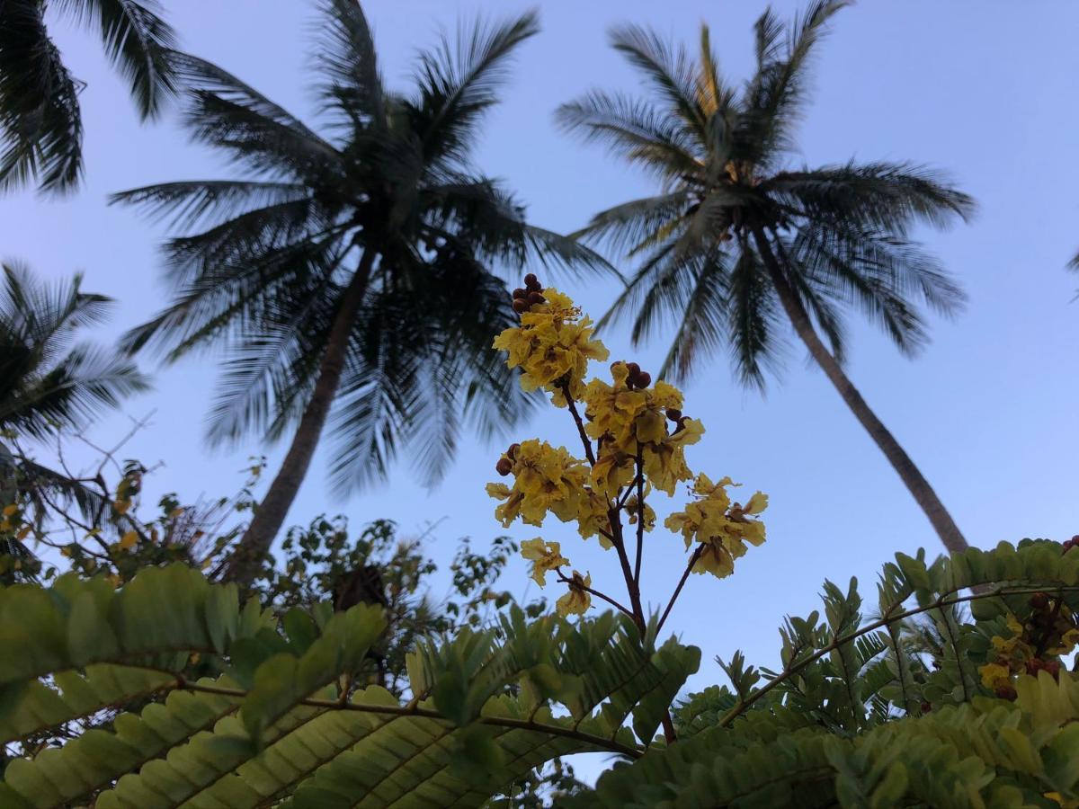 Emayani Beach Lodge Pangani Eksteriør billede