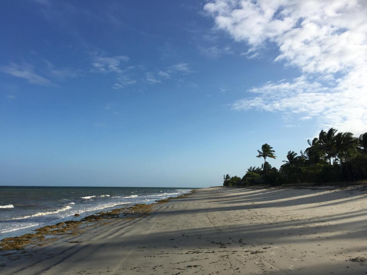 Emayani Beach Lodge Pangani Eksteriør billede